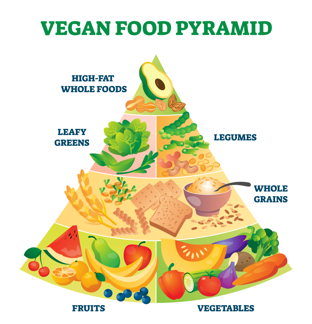 Vegan food pyramid diagram.